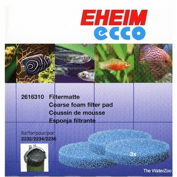 Ecco foam shop