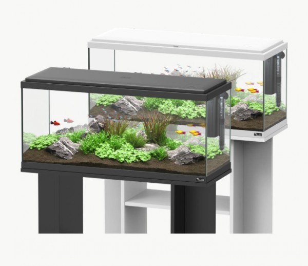 Smart aquarium 2024