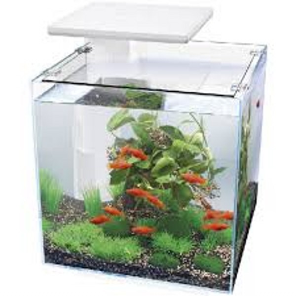 Superfish Qubiq 30 Pro White | The WaterZoo | Tropical fish | marine ...