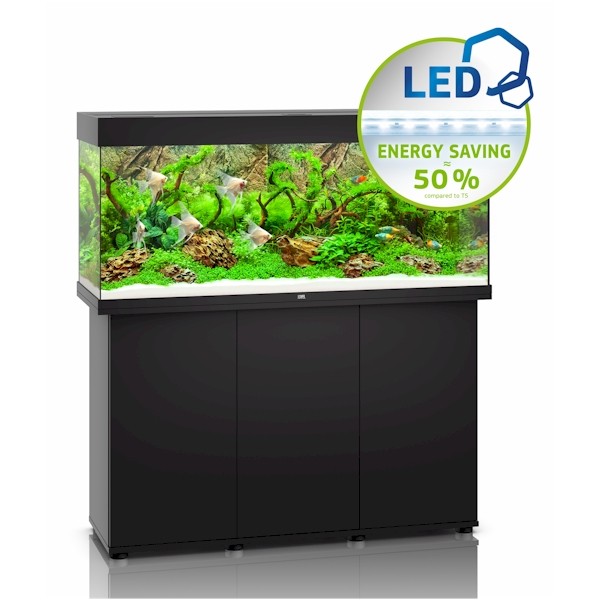 Juwel Rio 240 Led Aquarium Black | The WaterZoo | Tropical fish ...