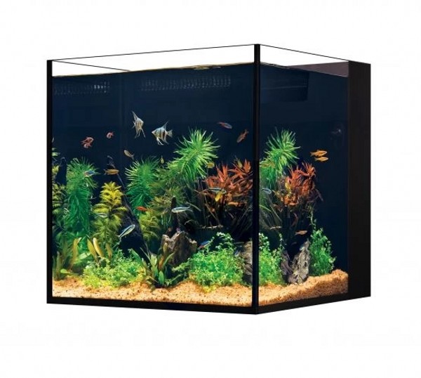 Red Sea Desktop Nano Cube Aquarium | The WaterZoo | Tropical fish ...