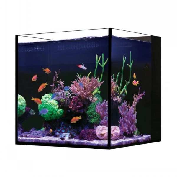 Red Sea Desktop Nano Cube Aquarium | The WaterZoo | Tropical fish ...