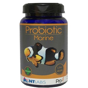 Nt labs probiotic tropical fish food best sale