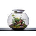 KYU GLOBE AQUARIUM SMALL 37 LITRES EX DISPLAY