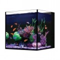 RED SEA DESKTOP NANO CUBE AQUARIUM EX-DISPLAY